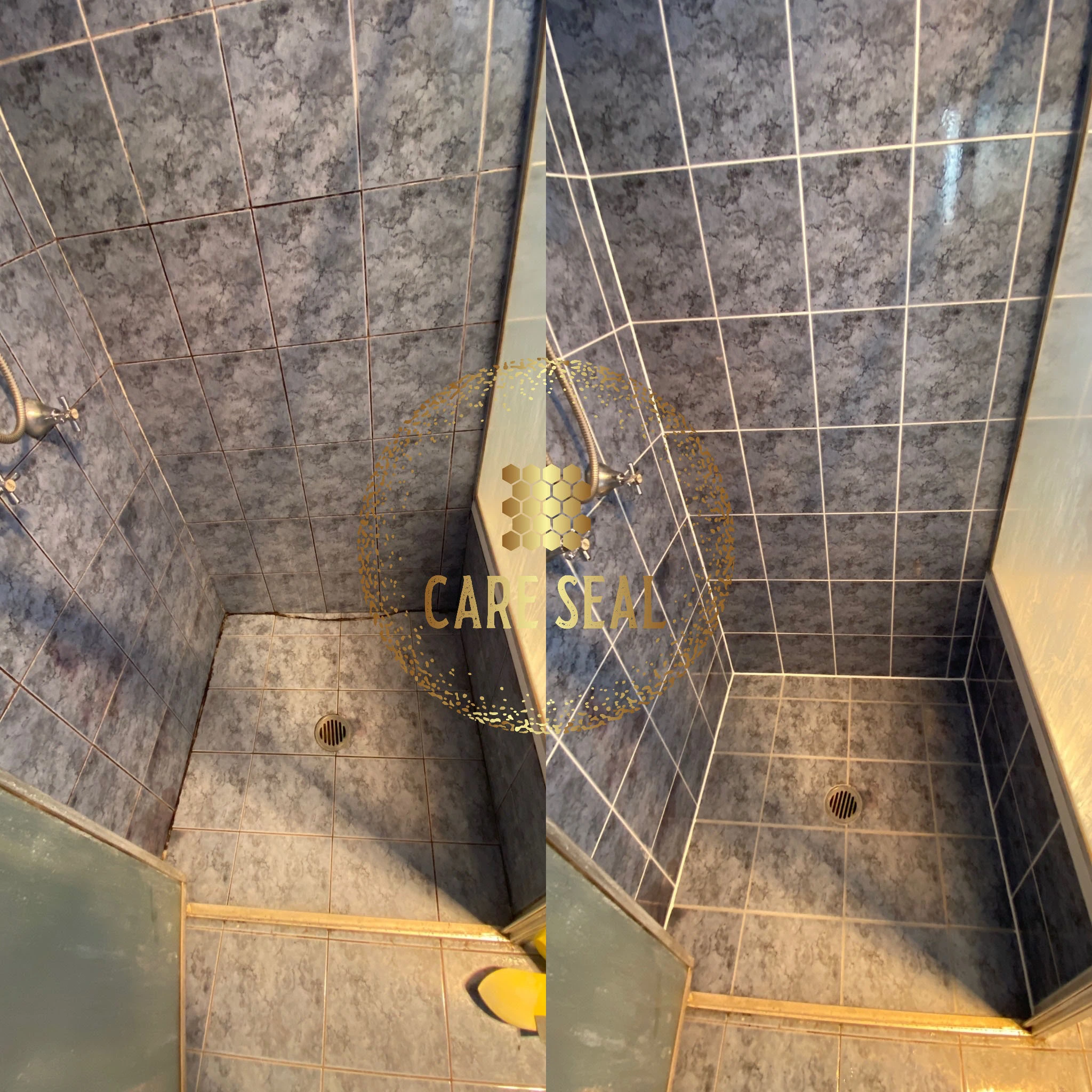 CareSeal shower leak repair project in Sydney